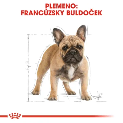 Plemeno: francúzsky buldoček, ilustrácia psa s vyznačenými proporciami tela. Značka Royal Canin v dolnej časti obrázka.