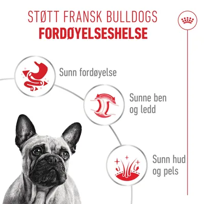 Royal Canin French Bulldog Loaf