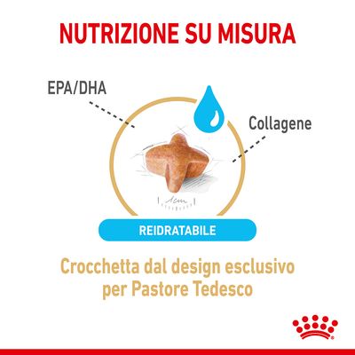 Crocchetta reidratabile con design esclusivo per Pastore Tedesco, indicata la presenza di EPA/DHA e collagene. Testo: Nutrizione su misura.