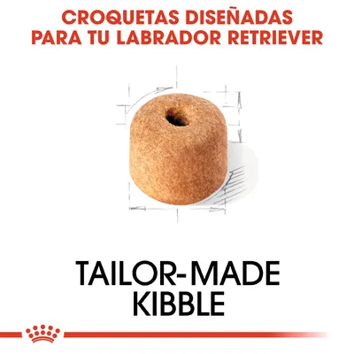 Croquetas diseñadas para tu Labrador Retriever. Tailor-made kibble. Imagen de una croqueta redonda con agujero central. Texto en inglés y español visible.