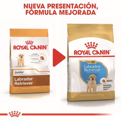 Cambio de envase y fórmula mejorada de Royal Canin para cachorros Labrador Retriever. A la izquierda, paquete Junior; a la derecha, nuevo paquete Puppy con diseño actualizado.