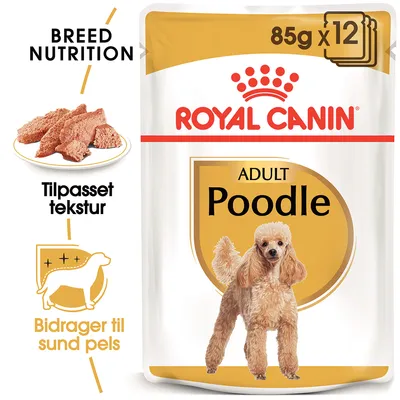 Royal Canin Adult Poodle, 85 g x 12. Tekst: Breed Nutrition, Tilpasset tekstur, Bidrager til sund pels. Billede af puddel og vådfoder på tallerken.