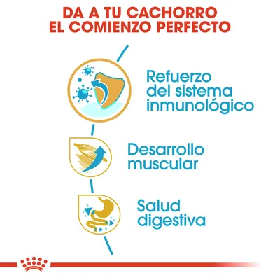 Da a tu cachorro el comienzo perfecto: refuerzo del sistema inmunológico, desarrollo muscular, salud digestiva. Texto y símbolos explicativos.