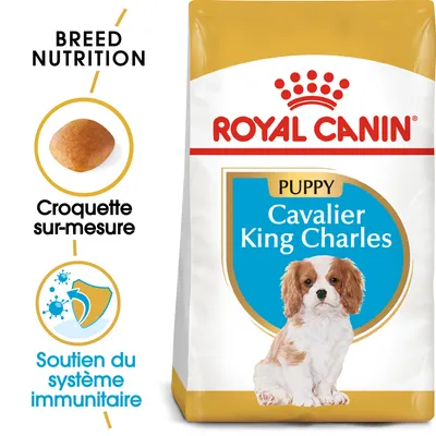 Sachet Royal Canin Puppy Cavalier King Charles, croquette sur-mesure, soutien du système immunitaire, image d’un chiot Cavalier King Charles visible sur l’emballage.