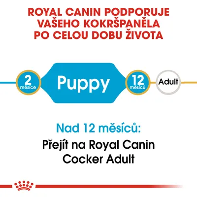 Royal Canin podporuje vašeho kokršpaněla po celou dobu života. Puppy 2–12 měsíců, poté přejít na Royal Canin Cocker Adult nad 12 měsíců.