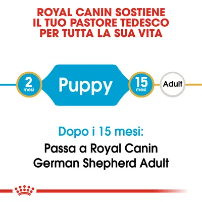 Royal Canin sostiene il tuo pastore tedesco per tutta la sua vita. Puppy da 2 a 15 mesi, poi passa a Royal Canin German Shepherd Adult dopo i 15 mesi.