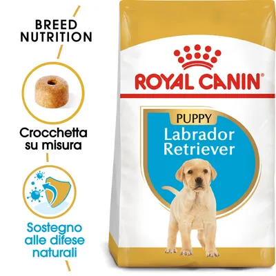 Confezione Royal Canin Puppy Labrador Retriever, crocchetta su misura, sostegno alle difese naturali. Testo visibile: BREED NUTRITION, Crocchetta su misura, Sostegno alle difese naturali.