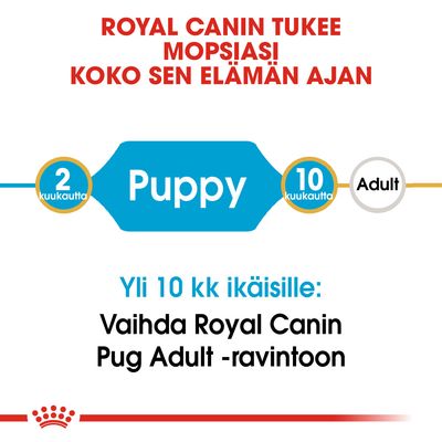 Royal Canin tukee mopsiasi koko elämän ajan. 2–10 kk Puppy, yli 10 kk: vaihda Royal Canin Pug Adult -ravintoon.