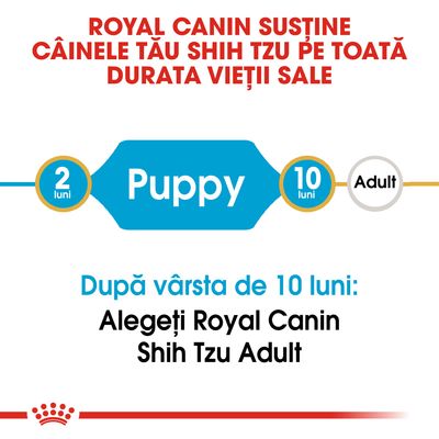 Royal Canin susține câinele Shih Tzu pe toată durata vieții. Puppy: 2–10 luni. După 10 luni, alegeți Royal Canin Shih Tzu Adult.