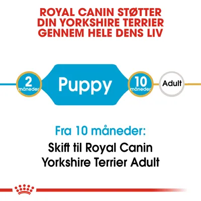 ROYAL CANIN STØTTER DIN YORKSHIRE TERRIER GENNEM HELE DENS LIV. Puppy 2 måneder–10 måneder. Fra 10 måneder: Skift til Royal Canin Yorkshire Terrier Adult.