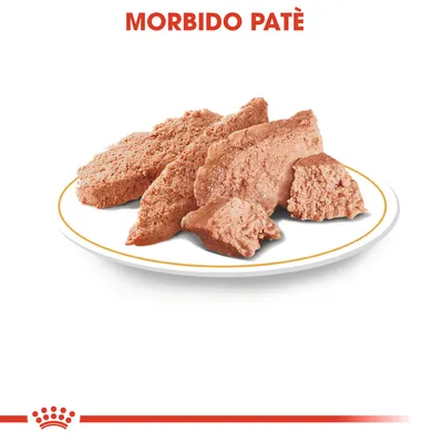 Morbido patè su piatto bianco, consistenza visibile a pezzi. Testo in alto: MORBIDO PATÈ.