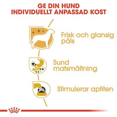 Ge din hund individuellt anpassad kost. Frisk och glansig päls, sund matsmältning, stimulerar aptiten.