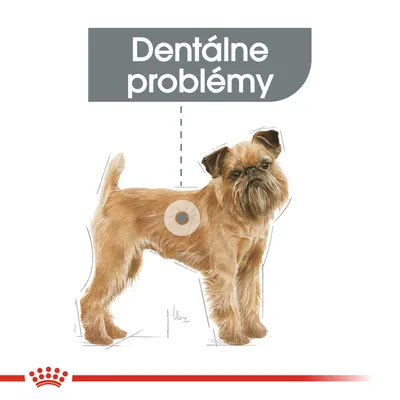 Text: Dentálne problémy. Ilustrácia malého psa s vyznačeným miestom na tele, graficky zvýraznené zameranie na dentálne zdravie.