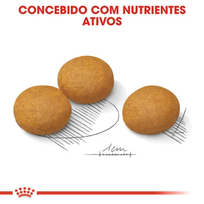 Três croquetes redondos de ração com escala desenhada a indicar 1 cm. Texto visível: 'Concebido com nutrientes ativos'.