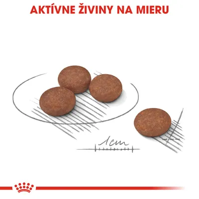 Štyri okrúhle granule, priemer približne 1 cm, s textom „AKTÍVNE ŽIVINY NA MIERU“ hore. Značka Royal Canin viditeľná dole.