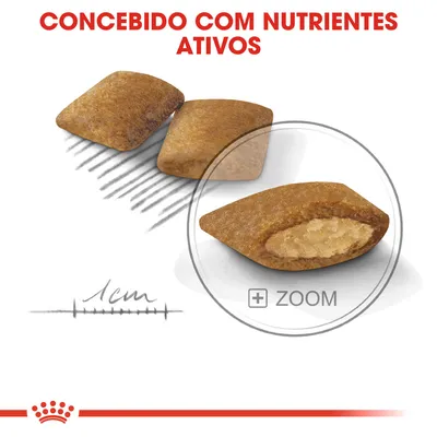 Três croquetes de ração, um deles ampliado para mostrar o interior. Texto: 'Concebido com nutrientes ativos'. Escala desenhada indica 1 cm.
