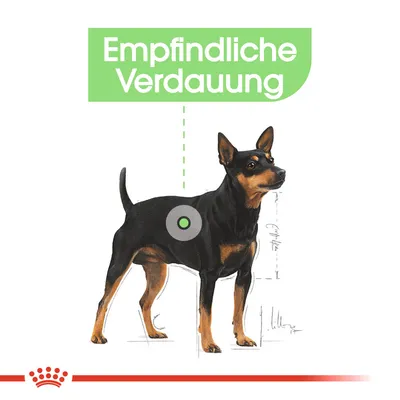 Illustration eines Hundes mit Text 'Empfindliche Verdauung' und hervorgehobener Magenregion. Hinweis auf spezielle Bedürfnisse bei der Ernährung.