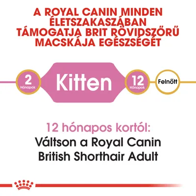 Royal Canin British Shorthair Kitten - 2 kg