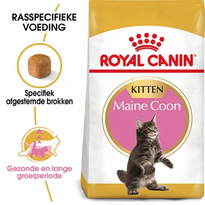 Royal Canin Kitten Maine Coon kattenvoer, rasspecifieke voeding. Tekst: Specifiek afgestemde brokken, Gezonde en lange groeiperiode.