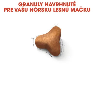 Granuly navrhnuté pre vašu nórsku lesnú mačku, zobrazený detail tvaru jednej granule s nákresom okolo.