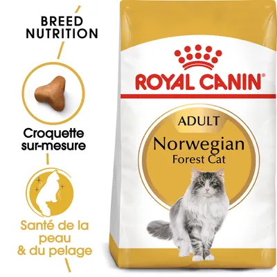 Sachet Royal Canin Adult Norwegian Forest Cat, croquette sur-mesure, santé de la peau & du pelage, Breed Nutrition. Chat norvégien illustré sur l’emballage.