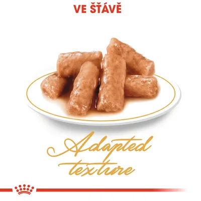 Kousky krmiva ve šťávě na talíři, text: VE ŠŤÁVĚ, Adapted texture