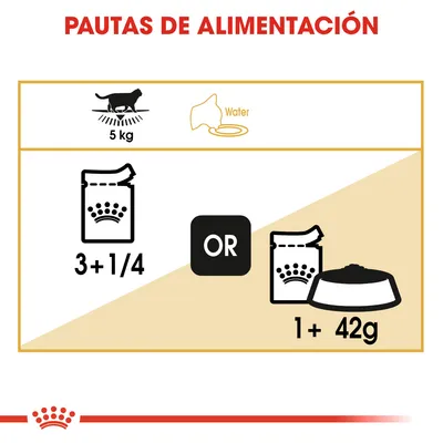 Pautas de alimentación para gato de 5 kg: 3 y 1/4 sobres o 1 sobre más 42 g de pienso. Incluye icono de agua. Texto principal: PAUTAS DE ALIMENTACIÓN.