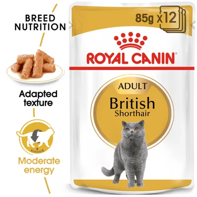 Royal Canin Adult British Shorthair wet food, 85g x12. Features: breed nutrition, adapted texture, moderate energy. Image shows product pouch, food pieces, and a British Shorthair cat.