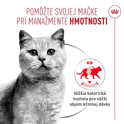 Royal Canin Light Weight Care AirLift Mousse