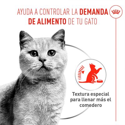 Royal Canin Appetite Control Care AirLift Mousse