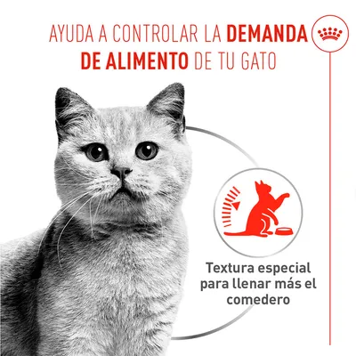 Royal Canin Appetite Control Care AirLift Mousse - 12 x 85 g