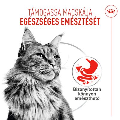 Royal Canin Digestive Care AirLift Mousse