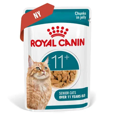 Royal Canin Ageing 11+ i gelé Royal Canin Ageing 11+ i gelé