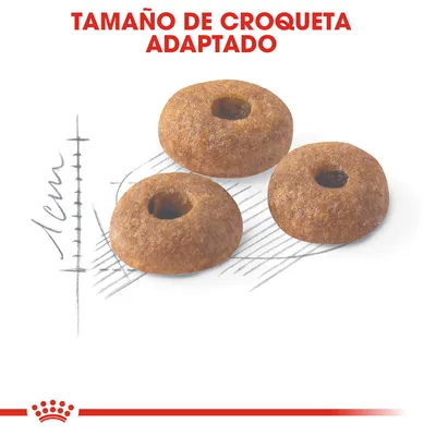 Tres croquetas redondas con agujero central, texto visible: 'Tamaño de croqueta adaptado', escala muestra diámetro aproximado de 1 cm.