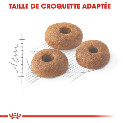 Taille de croquette adaptée, trois croquettes rondes avec trou central, diamètre indiqué environ 1 cm. Marque Royal Canin visible en bas de l’image.