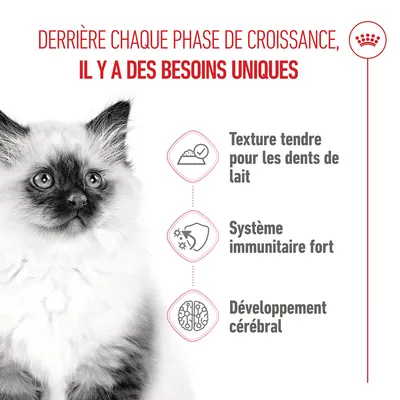 Texture tendre pour les dents de lait, système immunitaire fort, développement cérébral. Accent sur les besoins spécifiques à chaque phase de croissance.