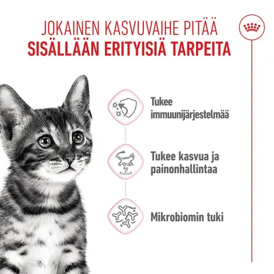 Royal Canin Kitten Sterilised - 2 kg