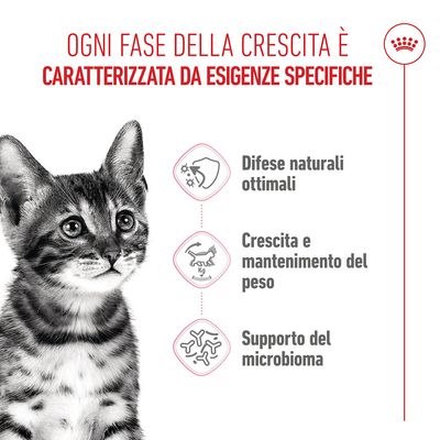 Royal Canin Kitten Sterilised