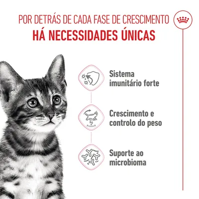 Royal Canin Kitten Sterilised - 3,5 kg