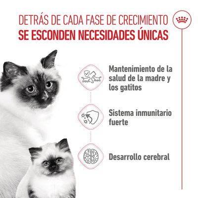 Royal Canin Mother & Babycat