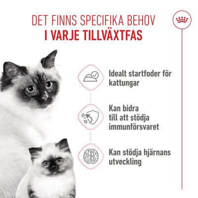 Royal Canin Mother & Babycat Ultra Soft Mousse