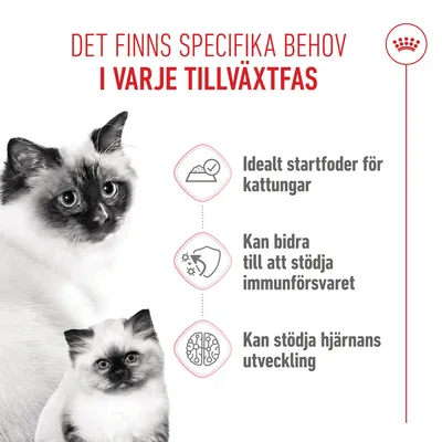 Royal Canin Mother & Babycat Ultra Soft Mousse - 12 x 195 g