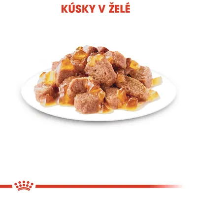 Kúsky v želé – porcia mäsových kúskov v želé na bielom tanieri, červený nápis hore: KÚSKY V ŽELÉ
