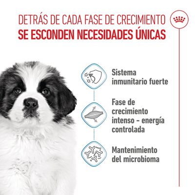 Royal Canin Giant Puppy - 15 kg