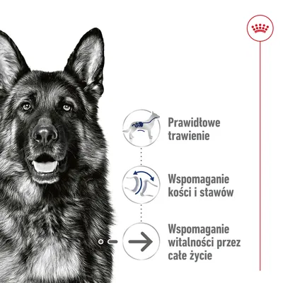 Prawidłowe trawienie, wspomaganie kości i stawów, wspomaganie witalności przez całe życie – trzy wypunktowane zalety obok sylwetki psa. Symbol korony w prawym górnym rogu.