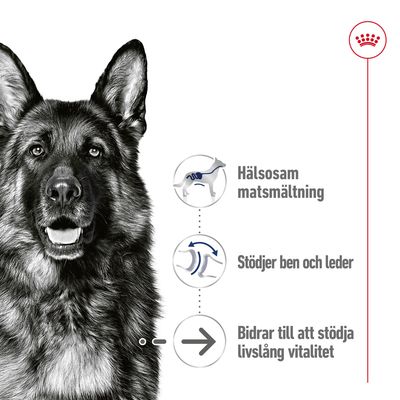 Hälsosam matsmältning, Stödjer ben och leder, Bidrar till att stödja livslång vitalitet – tre egenskaper med ikoner bredvid en hundillustration. Royal Canin-symbol i hörnet.