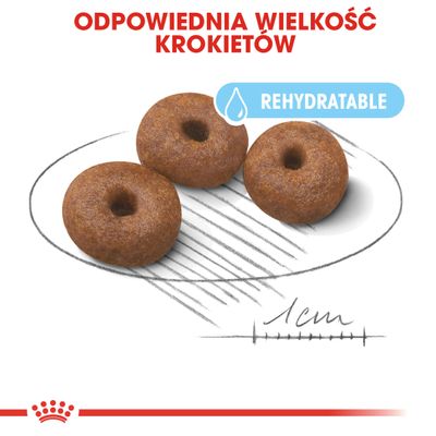 Trzy krokiety o średnicy 1 cm, tekst: Odpowiednia wielkość krokietów, oznaczenie REHYDRATABLE na niebieskim tle z ikoną kropli wody.