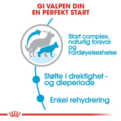 Royal Canin Maxi Starter Mother & Babydog