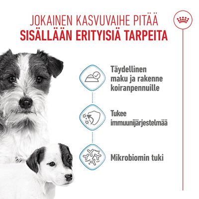 Royal Canin Starter Mother & Babydog Ultra Soft Mousse
