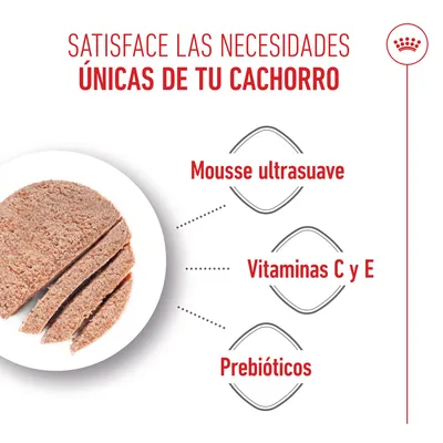 Royal Canin Starter Mousse Mother & Babydog - 12 x 195 g